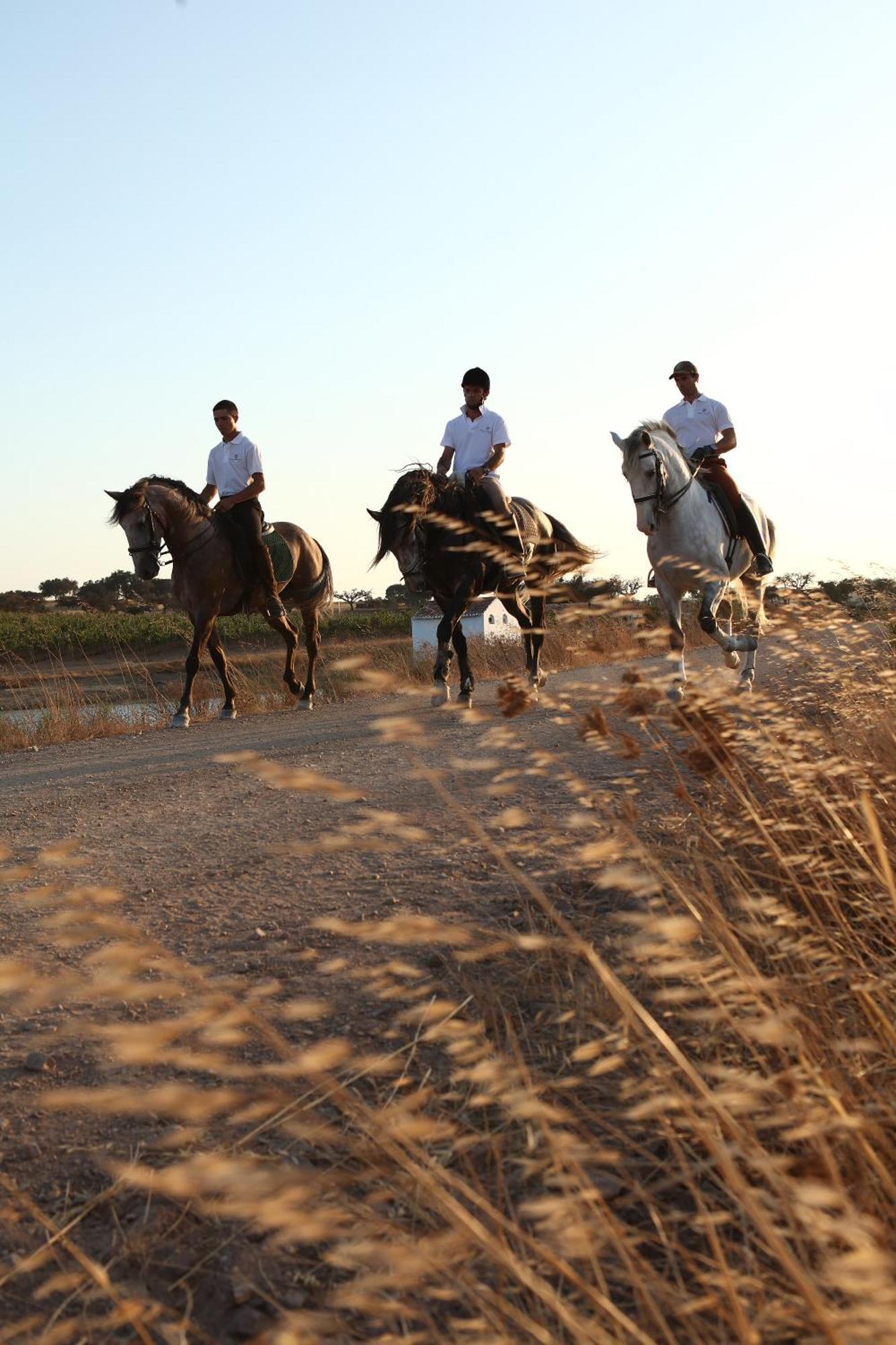 Herdade Da Malhadinha Nova - Relais & Chateaux Albernoa Exterior photo